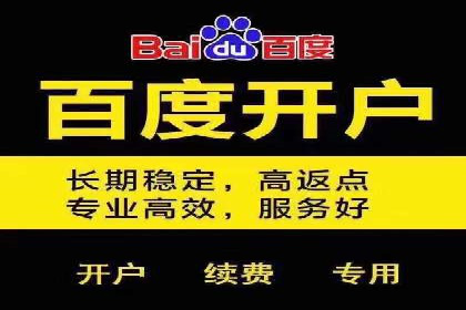 竞价排名在品牌推广中的经典案例